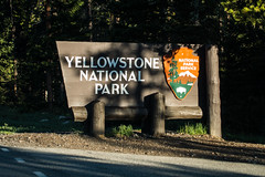 Yellowstone National Park - 2014