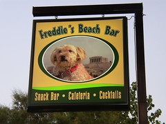 Best of Freddie's Beach Bar