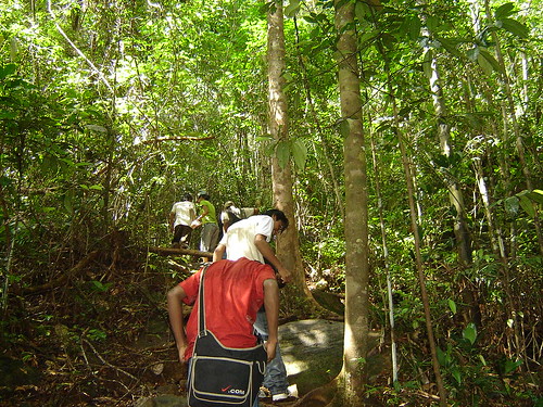 Sinharaja rain forest of sri lanka - trekking through mulawella trail