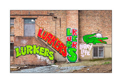 The Lurkers