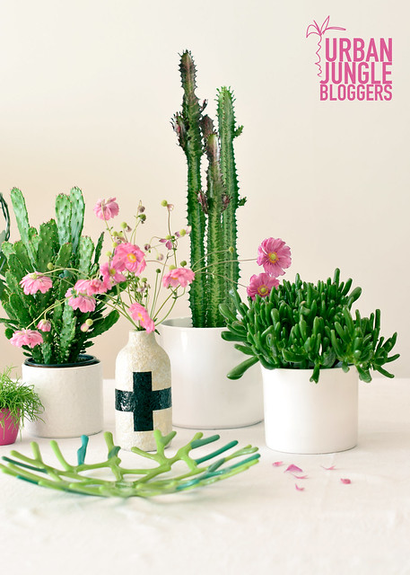 plants-flowers01-logo