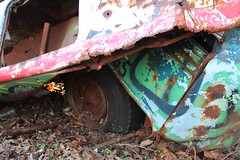 Abandoned Volkswagen Type 2