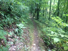 Jacks Knob Trail 