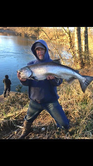 salmon on the Kilchis River