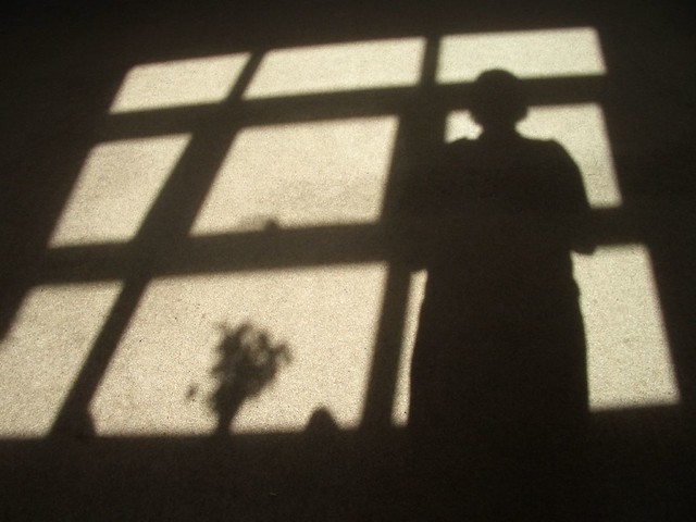 My Shadow Self