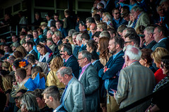 The Curragh Race Meeting