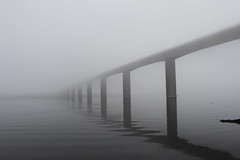 Vejle fjord broen