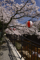 2015 Japan Spring Day 2 Arima Onsen & Himeji - 有馬溫泉 & 姬路