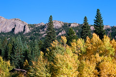 Fall Colors in Rocky Mountain National Park