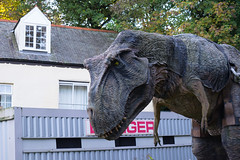 Wildlife & Dinosaur Park Devon