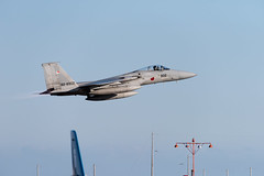 JASDF F-15J/DJ