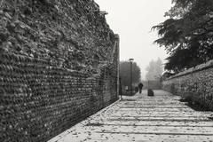 Mura Magistrali di Verona