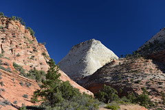USA : Utah - Zion National Park