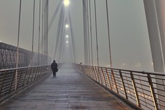 Foggy London 2016