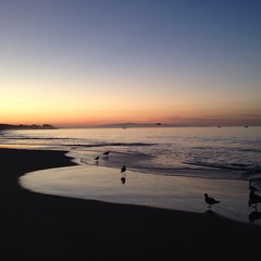 Good morning! #MorningWalk #SantaCruz #PacificOcean #Sorbet #sunrise_sunsets_aroundworld #sunrise