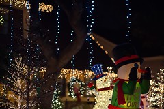 San Antonio Christmas 2016