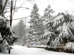 Philadelphia Feb 6 2010 Snow