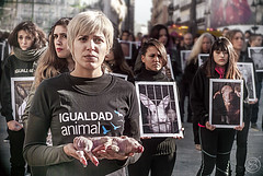 Día internacional de los Derechos de los Animales