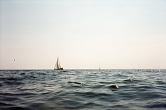 sailboats