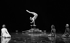 Varekai, Cirque du Soleil