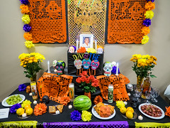 Day of the Dead 2015