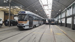 Trams de Bruxelles