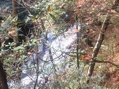 Falls on Dodd Creek 