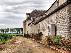 Bourgogne-Burgundy August 2015