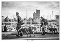 Dans les rues de La Rochelle (noir & blanc)