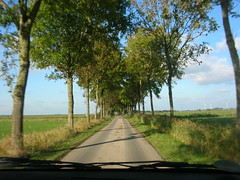 Rheiderland vom Autofenster aus