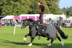 Wiltshire Country and Game Fair