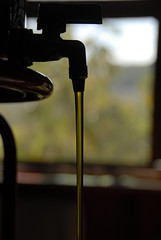 Extra vergin olive oil