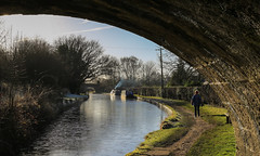 Macclesfield Canal