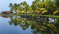Backwaters. Kerala