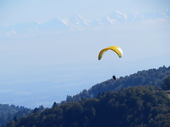 Paragliden, Surfen + Ballons
