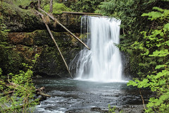 Waterfalls in Oregon