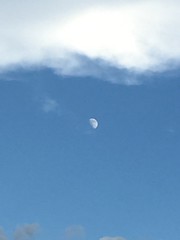 Luna/Moon