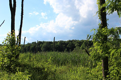 John J. Radcliffe Appomattox River Conservation Area