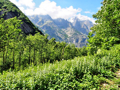 Alpes Park Ecrins