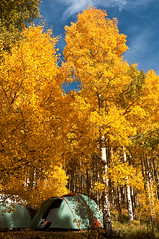 Southwest Colorado, Autumn 2015