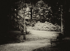 ALONE IN THE PARK
