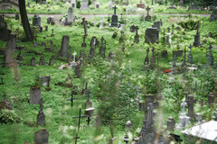 Rasos Cemetery, Vilnius