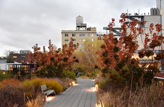 High Line Evening 2015-11-12