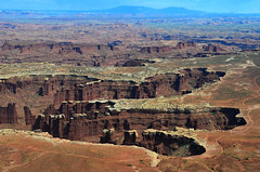 CANYONLANDS - Island in the sky