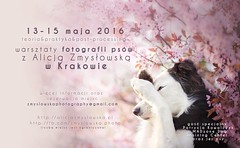 Dog Photography Workshops Dates 2016