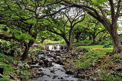 Queen Liliuokalani and Foster Botanical Gardens