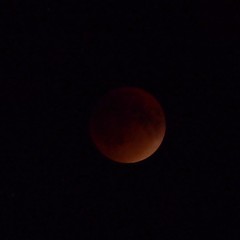 #eclipse #moon