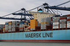 Maersk Ships
