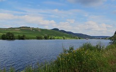 Allemagne, Rhénanie-Palatinat, vallée de la Moselle