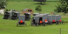 Lancaster County Amish - 2013